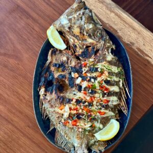 GuiaBeach_Peixe Galo